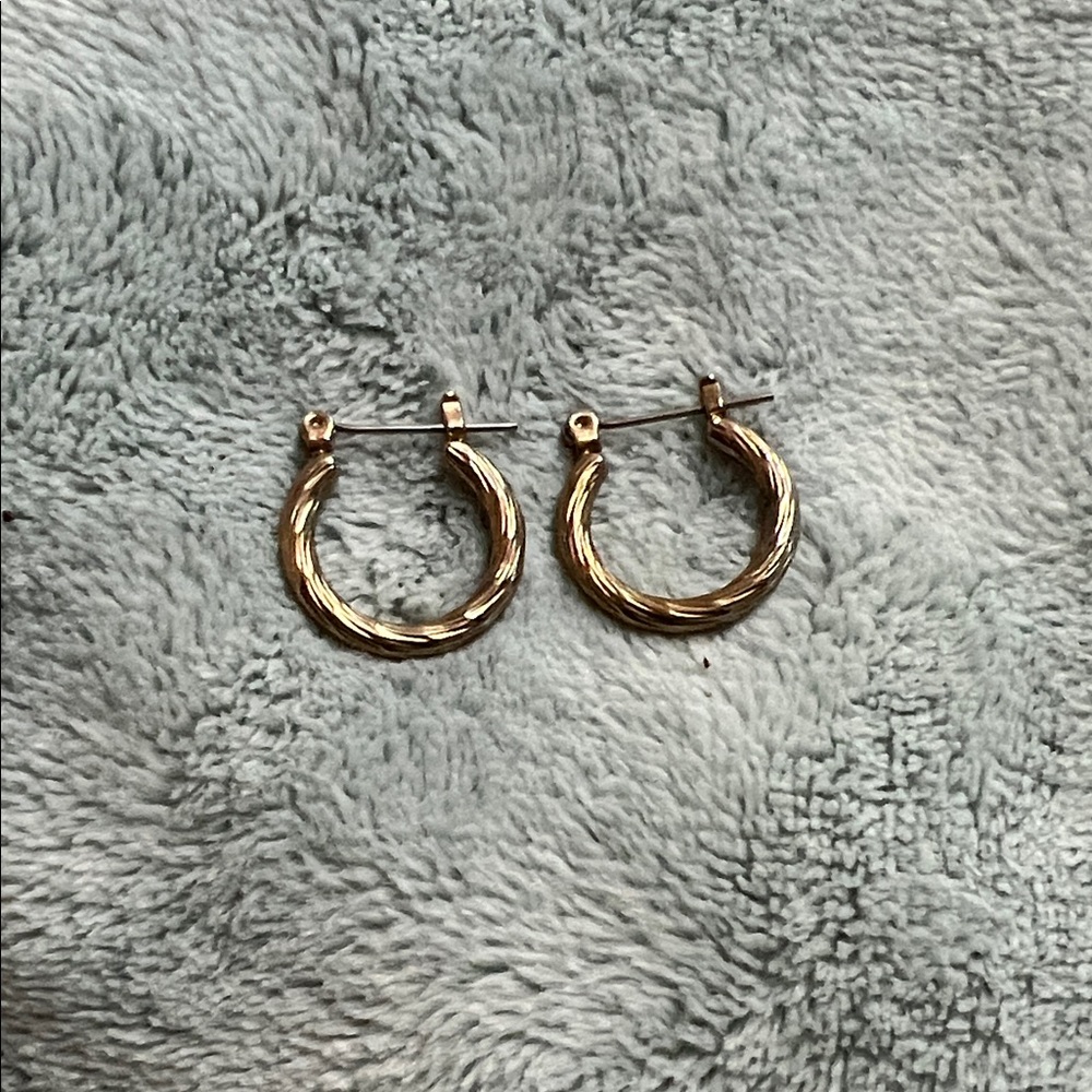 Elegant Gold Hoop Earrings
